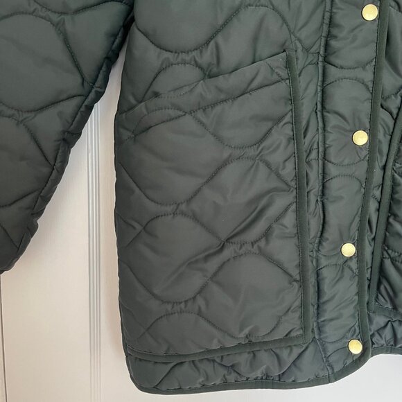 Quince Featherless Quilted Long Puffer Jacket in Verdant Green | Size S - Picture 4 of 10